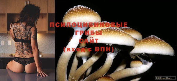 таблы Гусиноозёрск