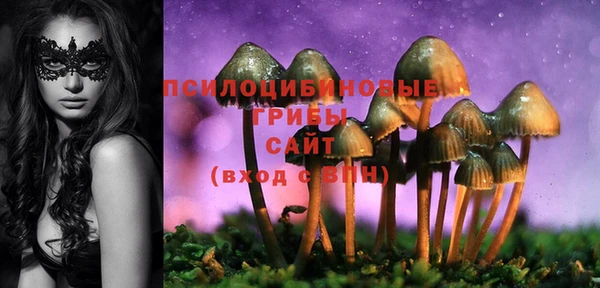2c-b Гусь-Хрустальный