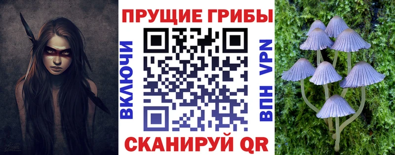 Купить где  Зеленодольск  Псилоцибиновые грибы прущие грибы 